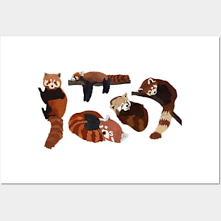 Painted Red Pandas Posters and Art